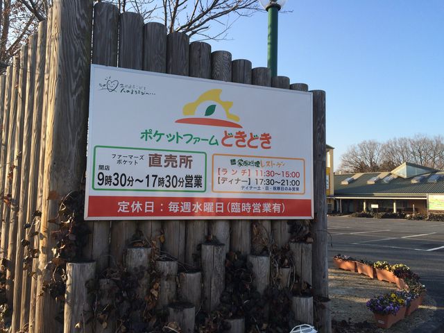 ポケットファームどきどき