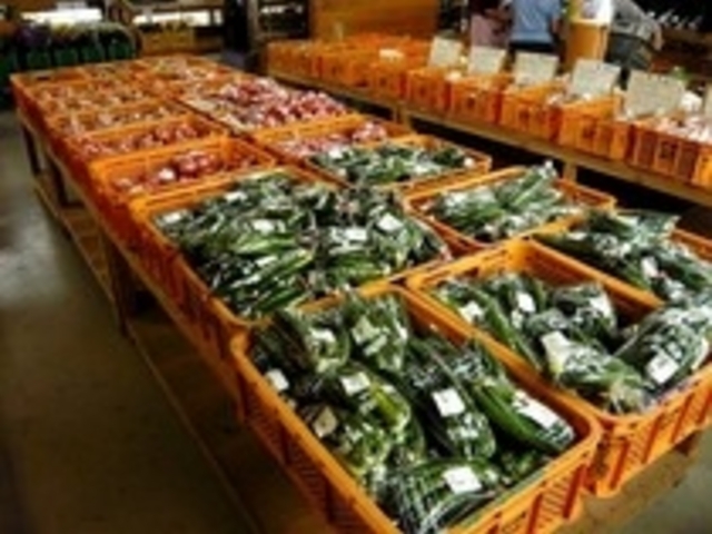 当日朝摘みの新鮮野菜も各種取り揃えています。_そすいの郷直売センター
