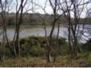 蛇沼公園の写真1