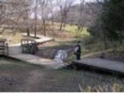 蛇沼公園の写真2