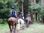乗馬クラブクレイン竜ヶ崎の写真3