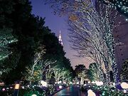 プティ デリリウム タップカフェ 新宿サザンテラスの写真1
