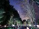 プティ デリリウム タップカフェ 新宿サザンテラスの写真2