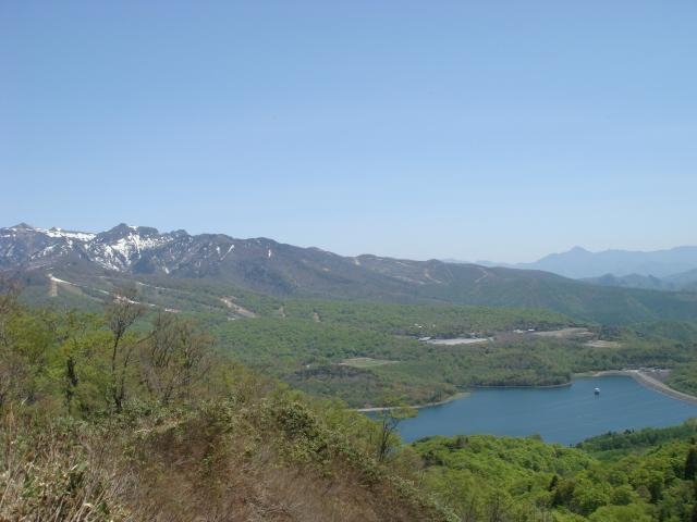 尼ヶ禿山の写真1