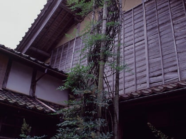 妙法輪寺のナンテンの写真1