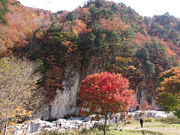屏風岩遊歩道の写真2