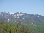 尼ヶ禿山の写真3