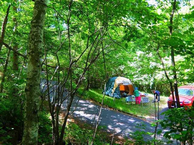 三城いこいの広場 オートキャンプ場の写真1