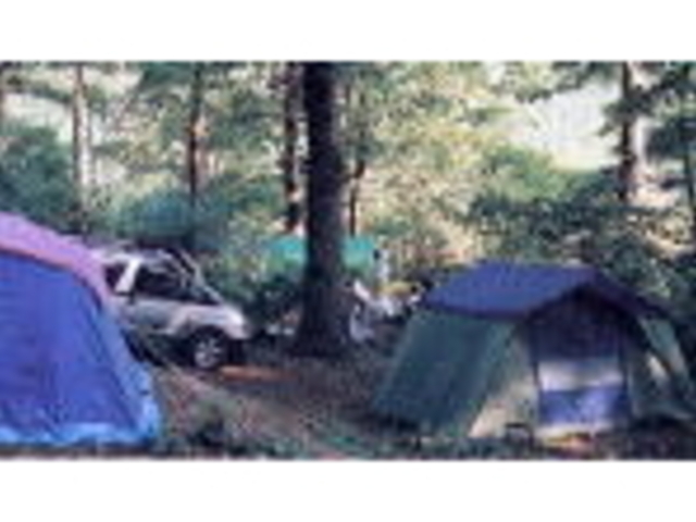 浅間山荘キャンプ場の写真1