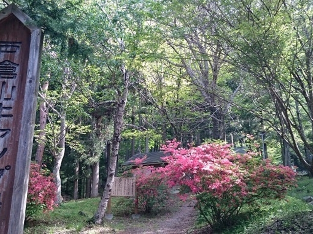 戸倉山キャンプ場