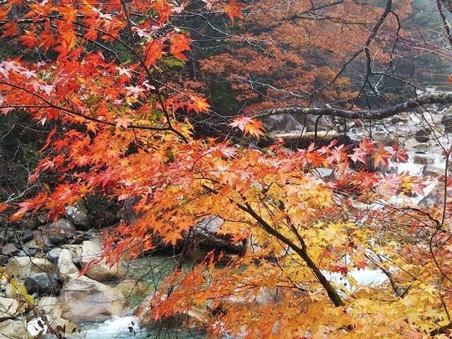 阿寺渓谷キャンプ場