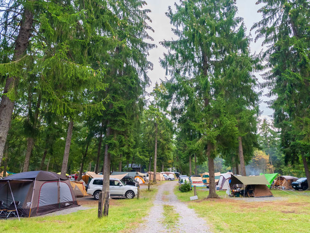 霊仙寺湖畔に位置しカラマツ林に囲まれたキャンプ場です_飯綱東高原オートキャンプ場