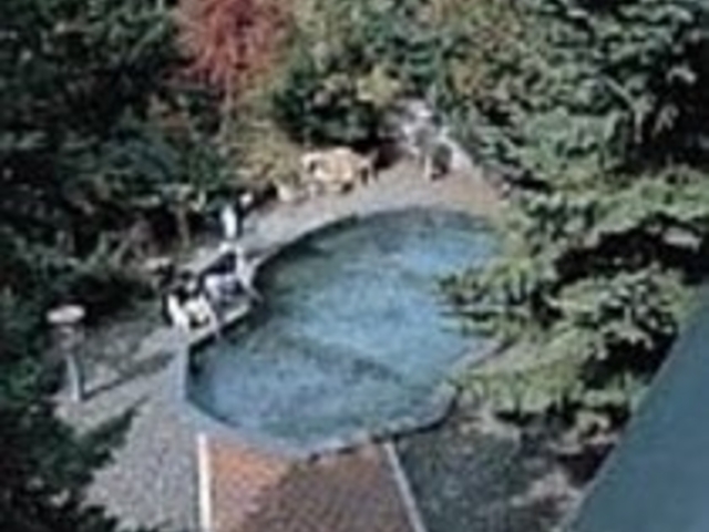 緑に囲まれて広々露天風呂に内湯にはサウナや泡風呂も_支笏湖観光ホテル湖水館