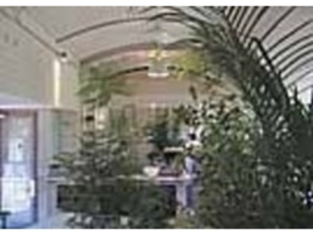 緑の中でカプチーノを楽しむことができる_LANDSCAPE CAFE