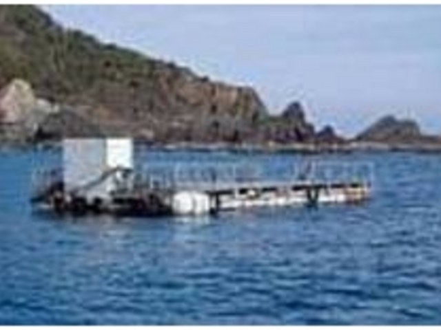 湾内筏はビギナーやファミリーにオススメ_宇佐湾観光釣り筏