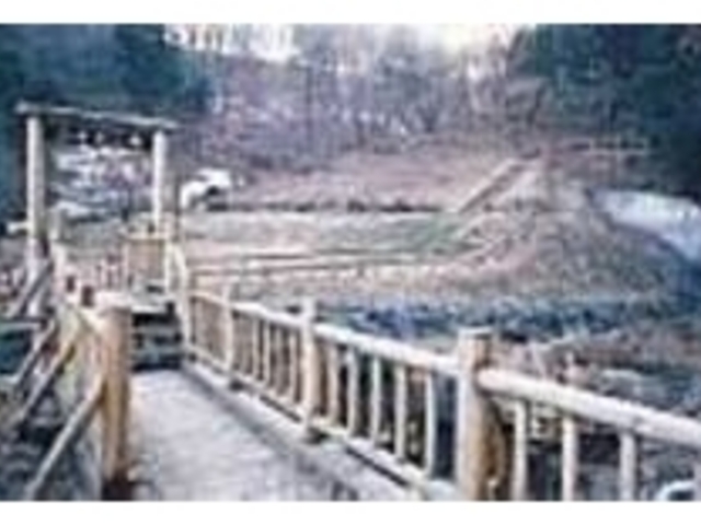 遊歩道が充実。健康志向の人におすすめだ_天神山自然の森