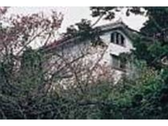 伊豆味の大自然に囲まれた素晴しい場所_画廊喫茶 風の庭