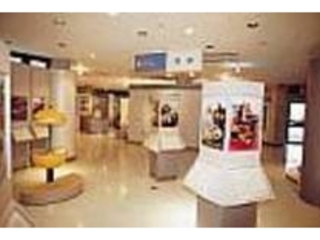 館内の展示はみかんのコトでいっぱい!_日本マンダリンセンター