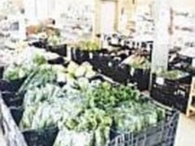 新鮮な野菜や果物が所せましと並ぶ_こぶしの里