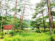 おおぐて湖キャンプ場の写真1