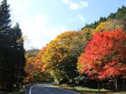白樺高原キャンプ場の写真3