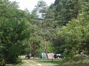 野田平キャンプ場の写真3