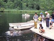 湖畔源泉かけ流しの宿 木戸池温泉ホテル&木戸池キャンプ場の写真3