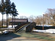 ケヤキの森公園の写真2