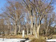 ケヤキの森公園の写真3