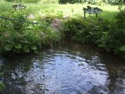 フィッシングランドはなおかの写真2