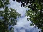 フィッシングランドはなおかの写真3