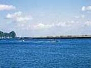 宇佐湾観光釣り筏の写真2