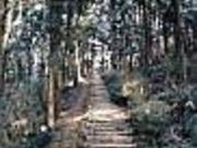 日野高山 二千階段の写真1