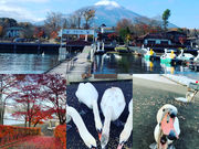 山中湖遊覧船 白鳥の湖の写真4
