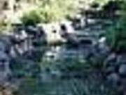 湯町ホタル公園の写真1