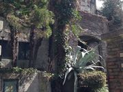 チェリ デザイン工房の写真3