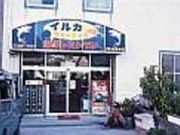 イルカミュージアムの写真2