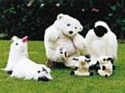 フローリスジャパン芦屋ショップの写真2