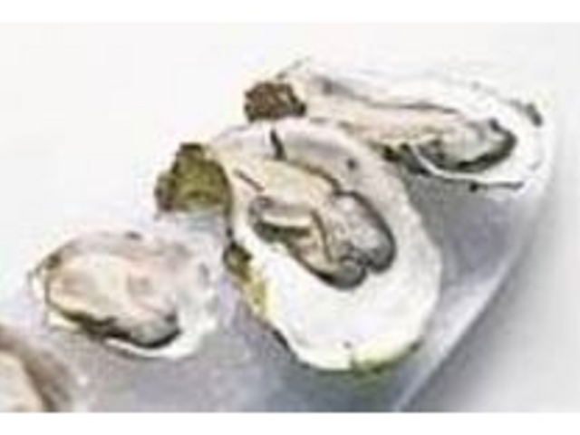 宮城県唐桑産の真牡蠣、厳選した物を使用_ウォーターグリル 和味