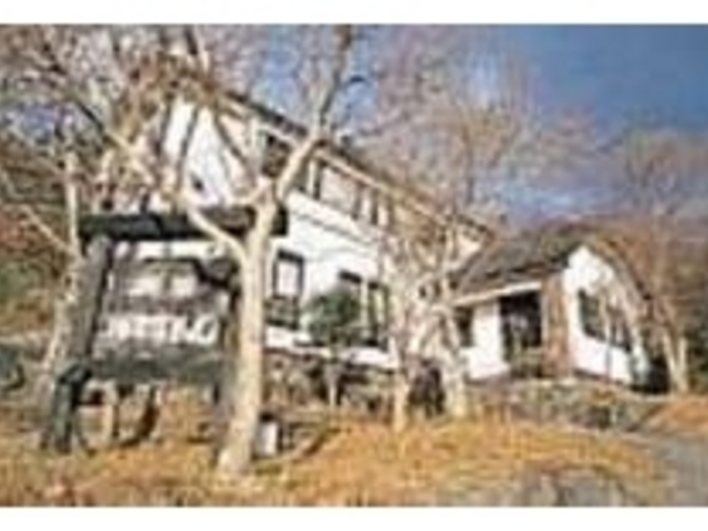 木々の中にたたずむ、白い壁の建物_珈琲HAMANO