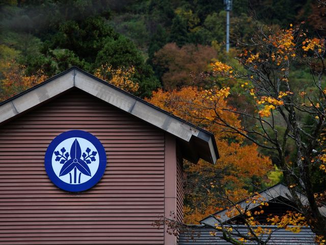 色づく山_よもぎひら温泉 花の宿 よもやま館