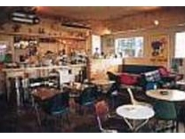 ミッドセンチュリーの家具で統一された店内_Organic cafe
