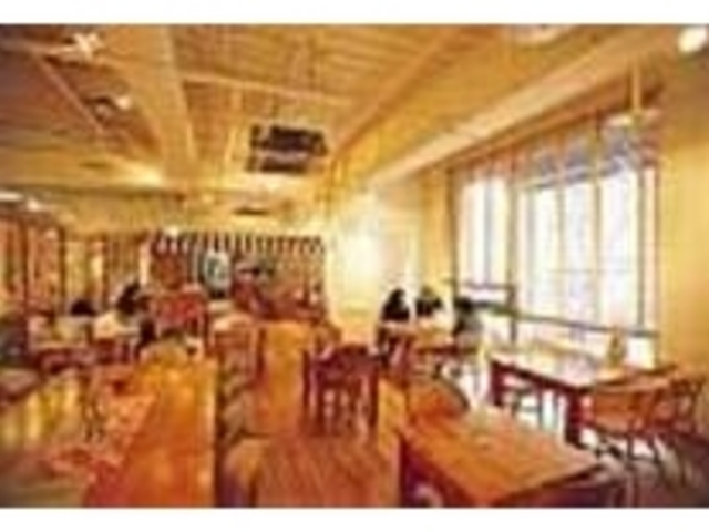 ウッド調の店内は、窓が大きく明るい_オレンジスパイス