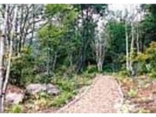 四季折々の山野草が身近に見ることができる_裏磐梯 野草園
