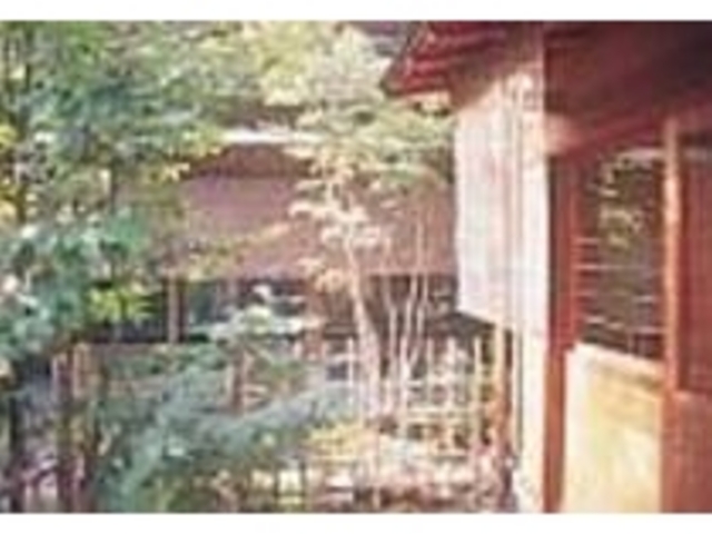 庭園のやさしい緑がくつろぎの時間を演出_茶寮やすの