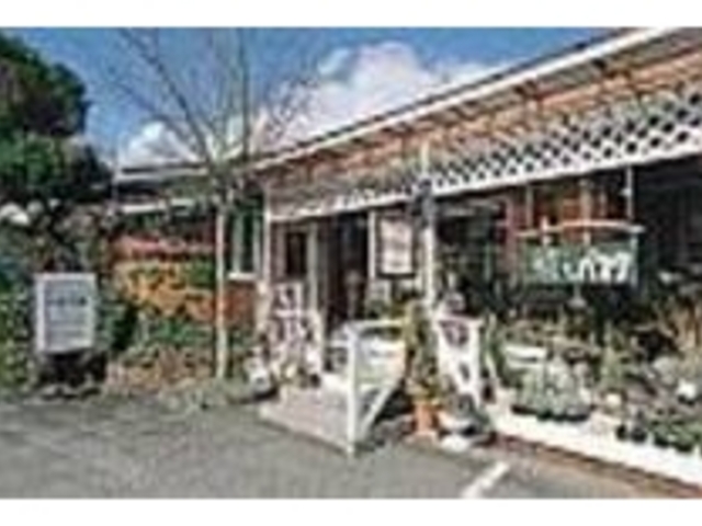 花も楽しめる様にお店の入口は花屋の奥に_イタリ屋