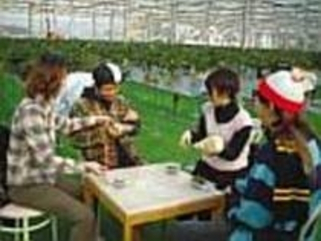 広々した園内にはくつろぎコーナーも用意_ガーデンウチミヤ