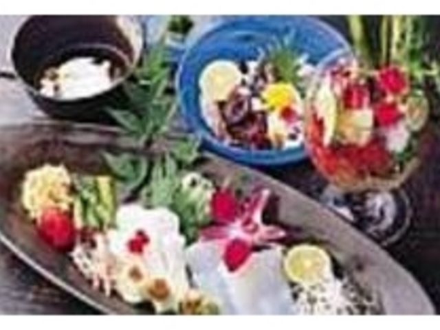 地場の食材を使った創作メニューが目白押し_HA菜RE あじろ