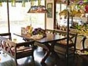 Tea time 木蘭の写真1