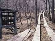 ザゼンソウ公園の写真2